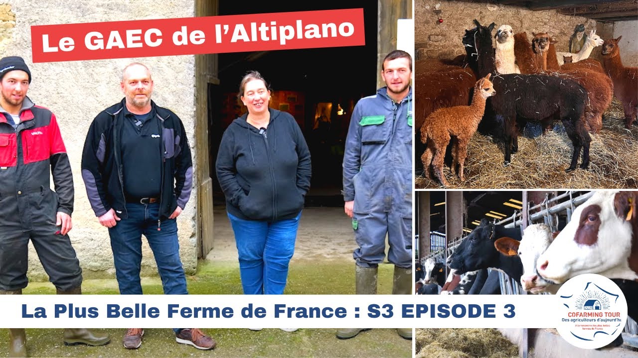 Le GAEC de l'Altiplano 🇫🇷 LA PLUS BELLE FERME DE FRANCE